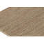 Area Rug in Brown