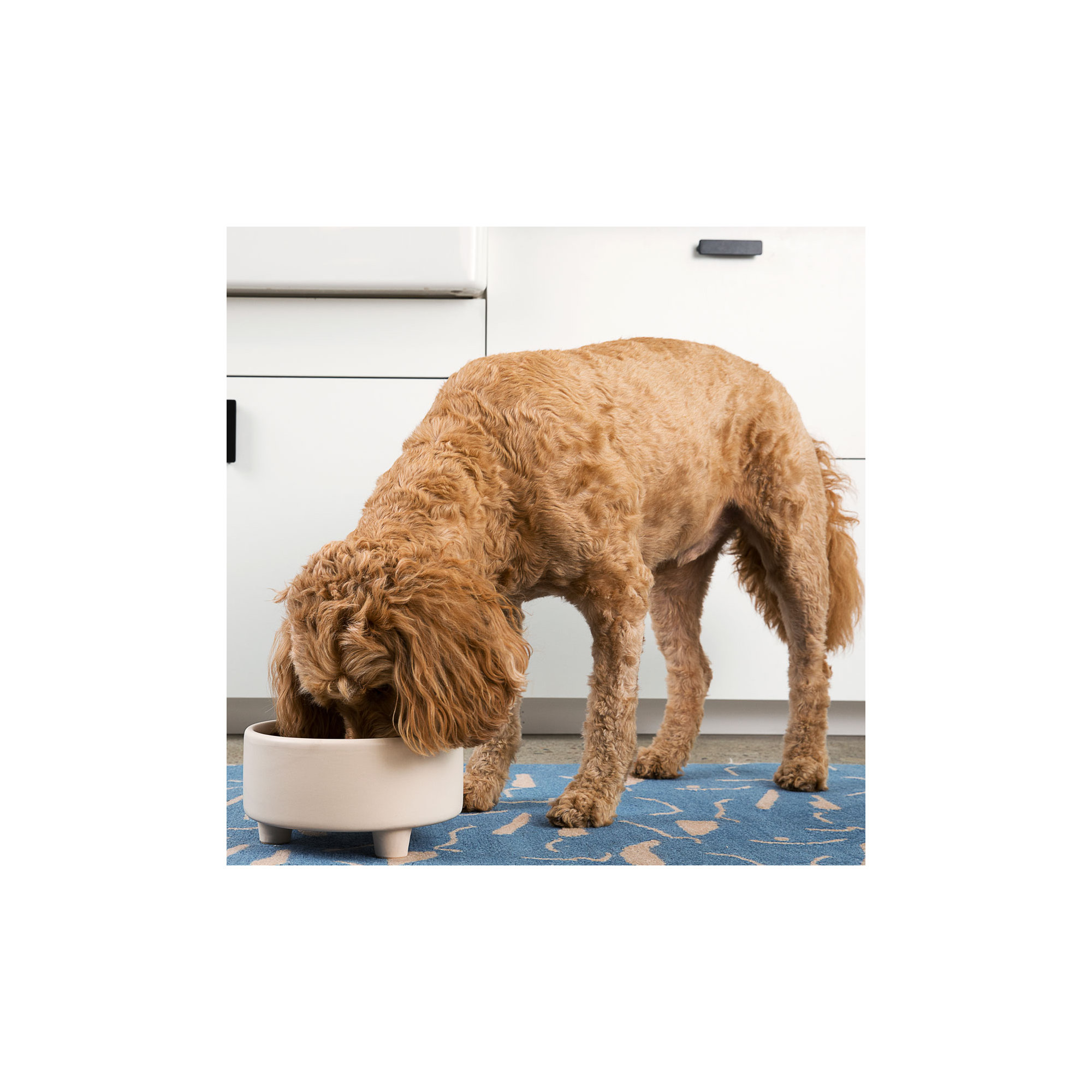 Uplift Ceramic Dog Bowl, Buttercream, Medium (4 cups / 32 fuild oz)