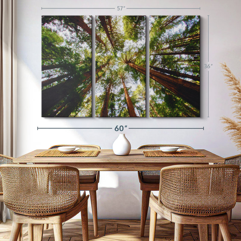 «Muir Wood California Redwoods» sur toile, H 36 po x l 57 po x P 1,25 po