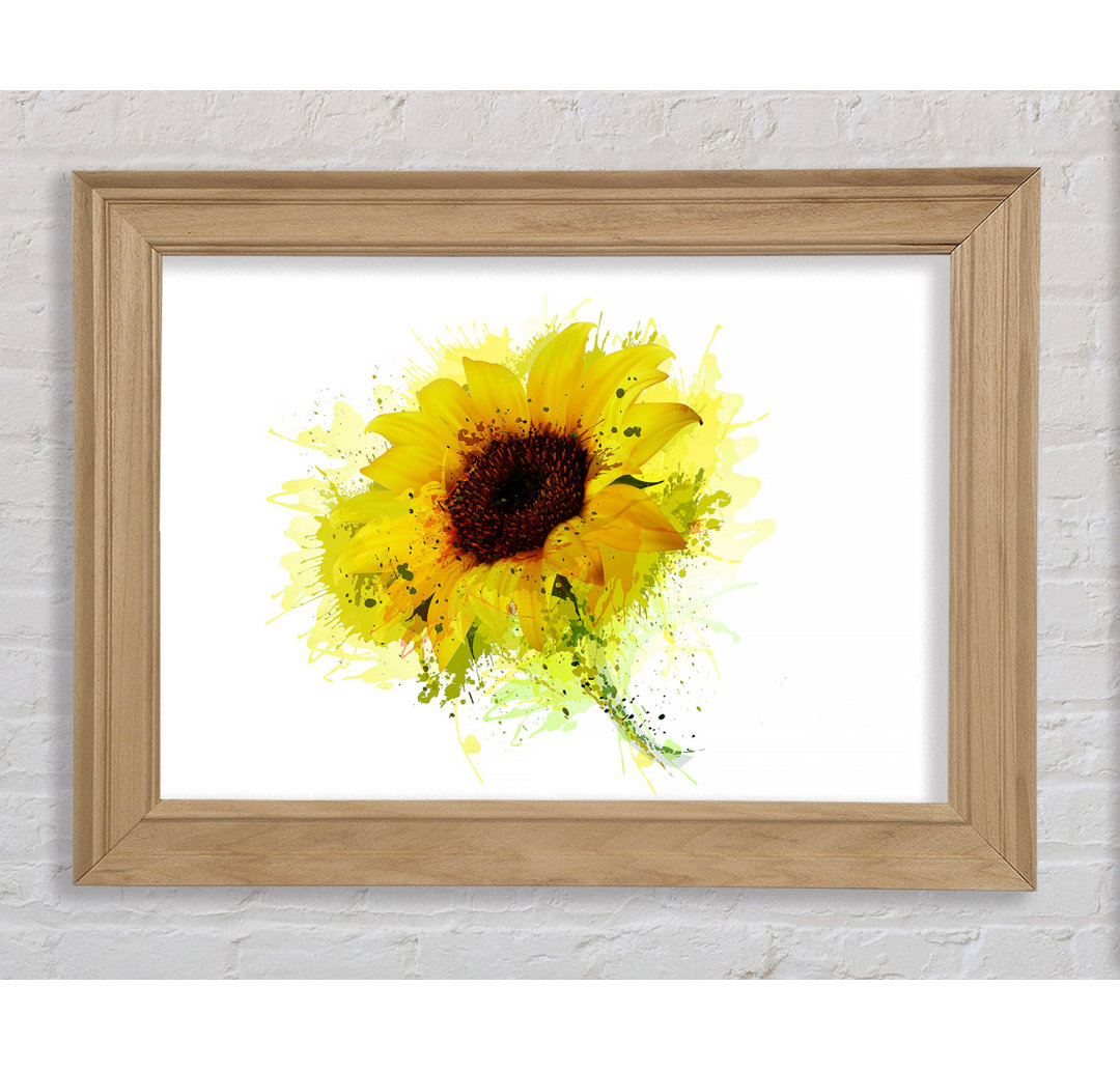 Sonnenblume Splash 1 - Einzelner Bilderrahmen Kunstdrucke