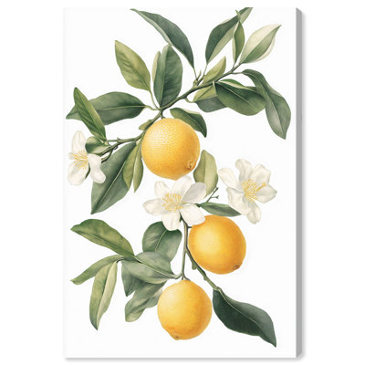Lemon and Leaf Fusion II Canvas Vintage Prints by Art Remedy