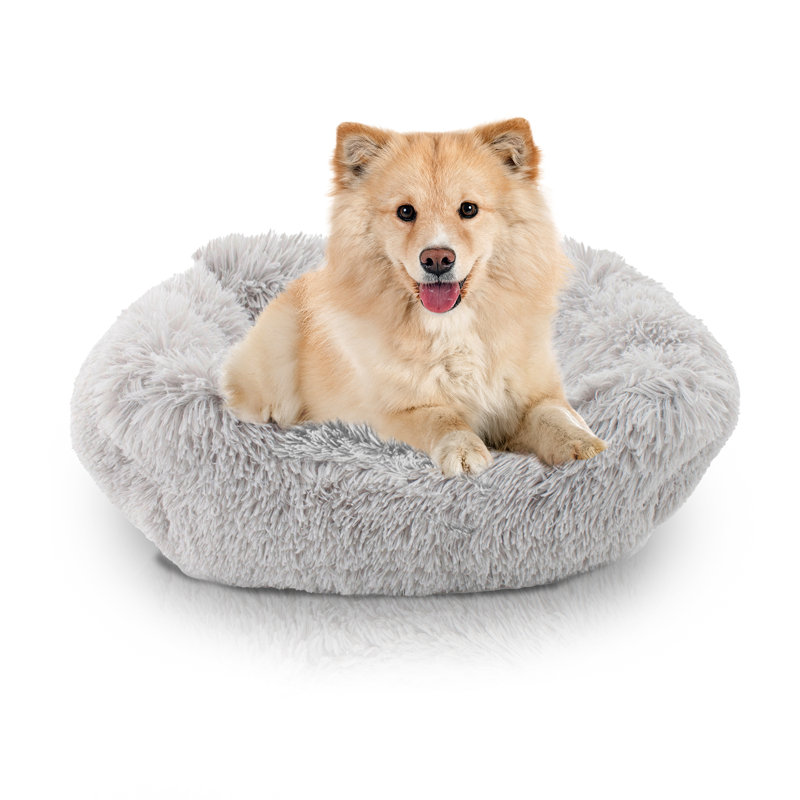 Lit pour chien Elam Super Lux Shaggy, Petit (l 20 po x P 16 po x H 7 po), Bleu sarcelle
