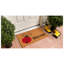 Paillasson coccinelle 17 po x 29 po-33267470