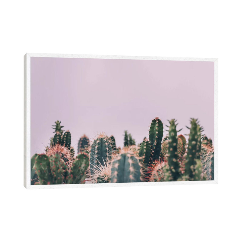Cactus Garden 1 Piece Wall Art on Canvas, 66.04cm H x 101.6cm W, White Floater Frame