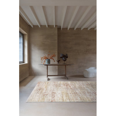 Chalgrave Abstract Area Rug