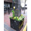 Cragmont Handmade Pot Planter-14486292