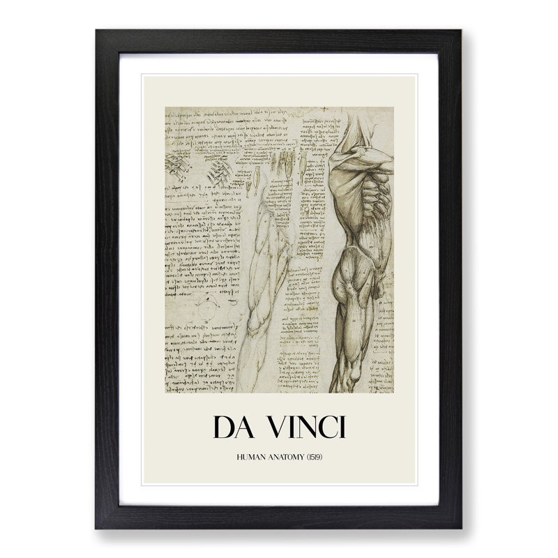 Human Anatomy Vol.6 by Leonardo Da Vinci - Picture Frame Drawing, Black Framed, 65cm H x 48cm W x 2cm D