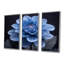 Monochromes noirs et bleus «Dahlia Bloom» - ensemble d'art mural Dahlia-107163786-107163788
