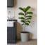 Robin Round Bucket Planter, Contemporary Concrete Effect, Round Indoor and Outdoor Plant Pot with Drainage Hole-1586262049-1586262076