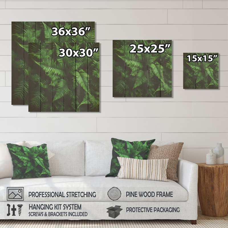 Green Fern Forest Beauty III - Ferns On Wood Print, 30" H x 30" W