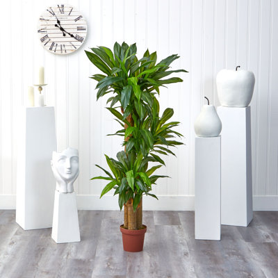 57'' Faux Dracaena Plant in Planter