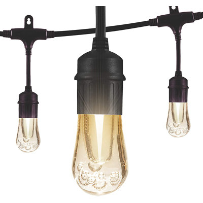 Vintage Outdoor 12 - Bulb 24'' Plug-in LED String Light