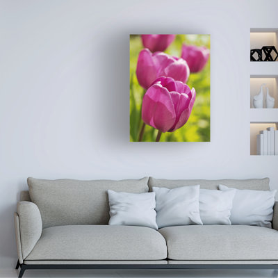 Bolog Suzanne Bonin Follow The Leader Canvas Art