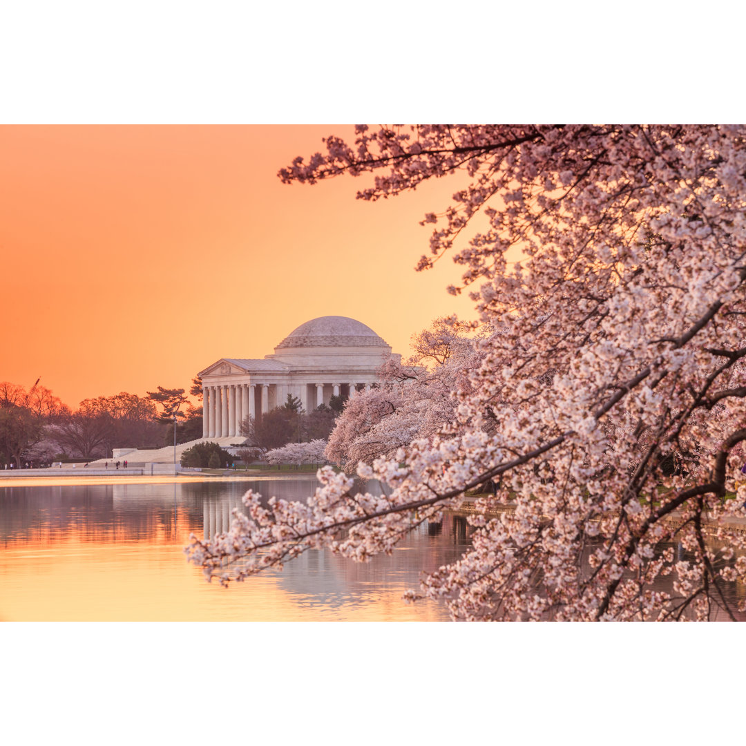 Das Jefferson Memorial - Drucken