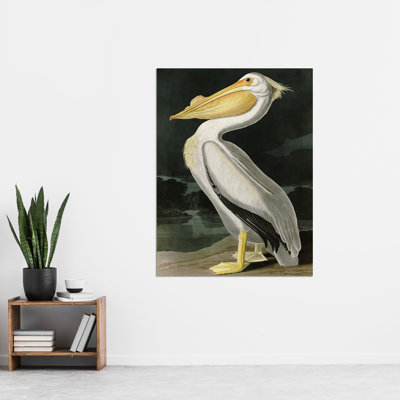 Birds White Pelican 1 Piece Wall Art