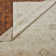 Wool Oriental Area Rug in Beige