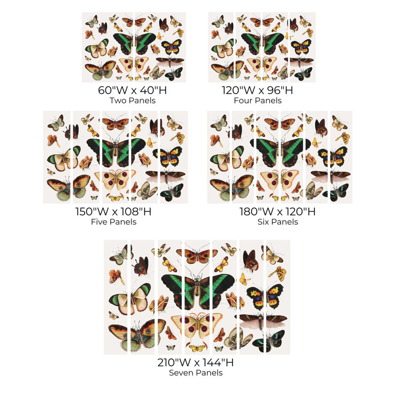 Papier peint de qualité supérieure - Papillons colorés, L 96 po x l 120 po