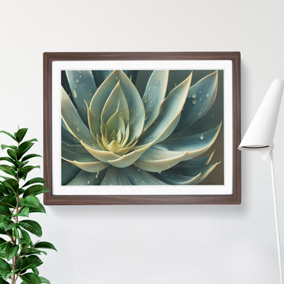 Tantalising Succulent Plant - Single Picture Frame Print