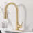 MAXWELL Sabine Pull Down Kitchen Faucet