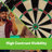 League Sisal Bristle Dartboard