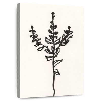 Esquisse botanique Harnek Ink II