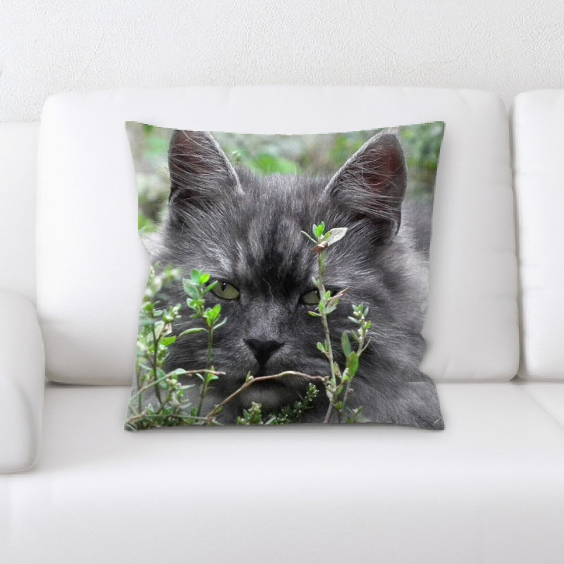 Coussin pour chat