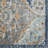 Iser Oriental Indoor Rug-1759474463