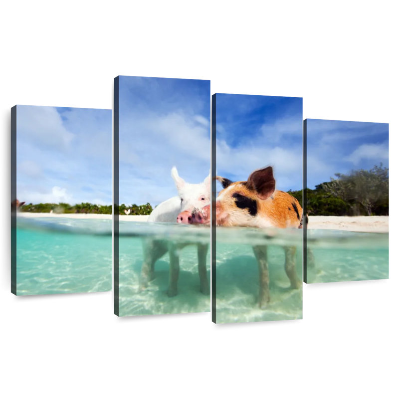 Pigs Bahamas Life, 22" H x 36" W