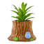 6 plantes