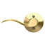 Accent Lever Hall and Closet Lock-24298654