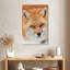 Renard roux moelleux Brampt-108639257