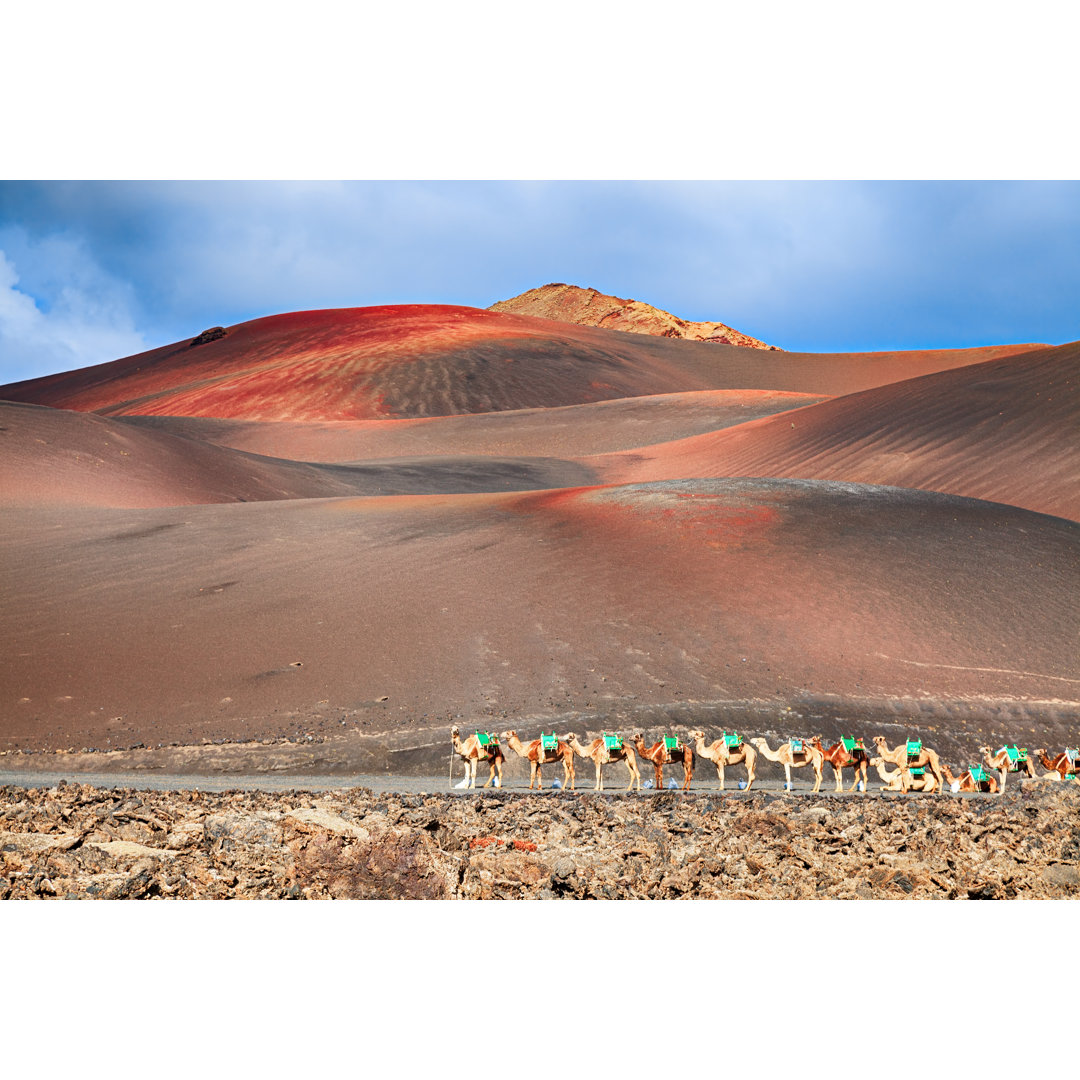 Reitende Kamele warten auf Touristen im Timanfaya National Park von Rusm - No Frame Print on Canvas