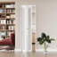 Porte pliante en verre 30 po x 80 po facile à installer et pleine lumière givrée pour plus d'intimité et de lumière naturelle, peu encombrante-111203117
