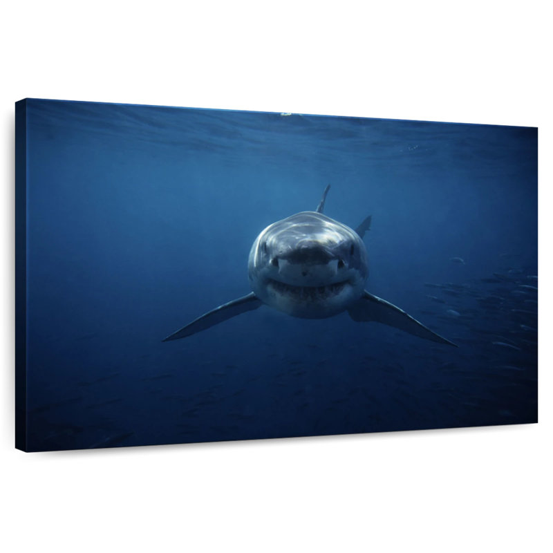 Brampt Shark Stalking, 34" H x 51" W