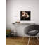 Roses And Shadows - Single Picture Frame Painting-1756314792