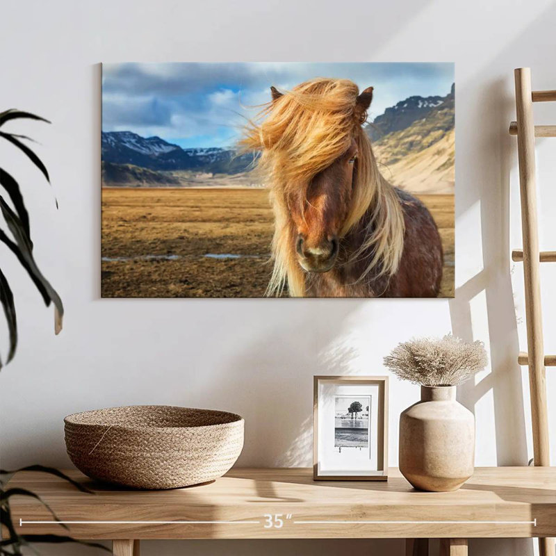 Brampt superbe cheval Islandais, H 16 po x l 24 po