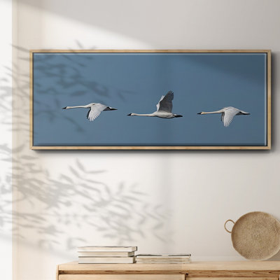«Wing Up Wing Down», toile encadrée
