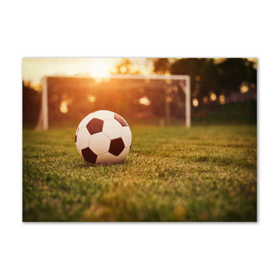 Ball On Turf - Wrapped Canvas Print