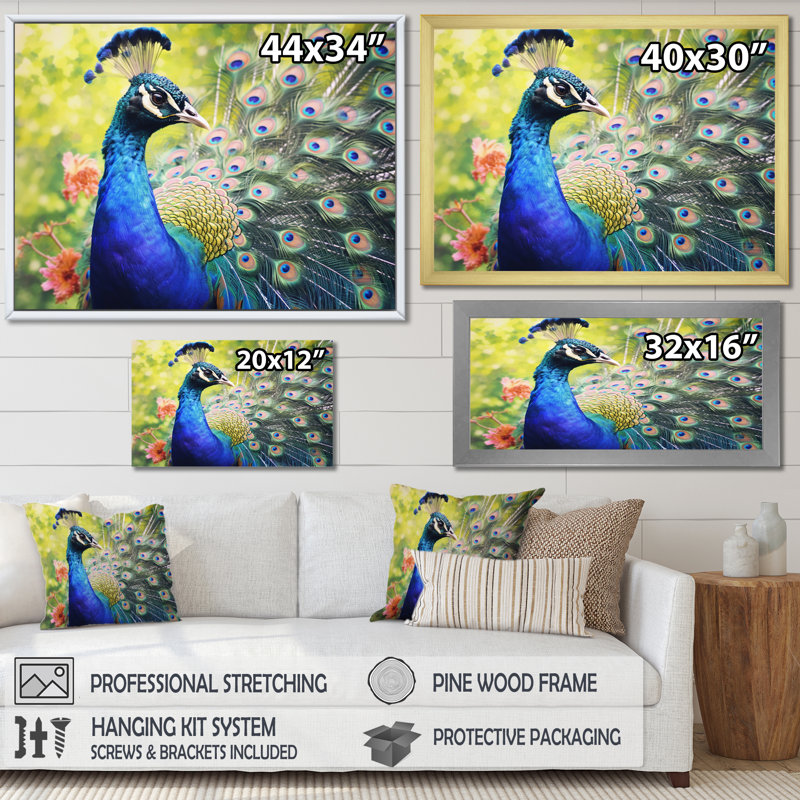 «Vibrant Peacock I» - art mural paon, H 16 po x l 32 po x P 1 po, Cadre flottant doré