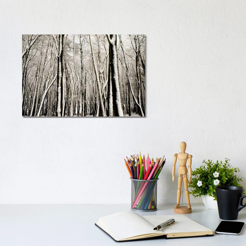 Snow Covered Trees by Alyson Fennell - Wrapped Canvas Print, 20.32 cm H x 30.48 cm W