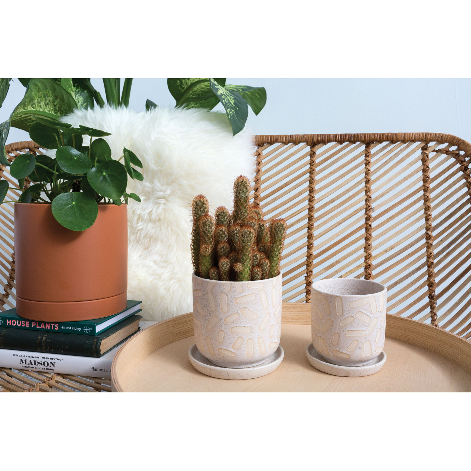 Catarine Ceramic Pot Planter, White
