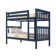Joleen Twin Over Twin Solid Wood Standard Bunk Bed by Harriet Bee