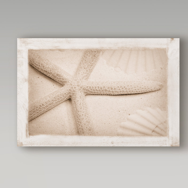 «Starfish, Shells and Sand», reproduction de photo sur toile tendue, H 12 po x l 19 po