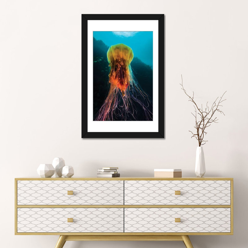 A Lion's Mane Jellyfish Rises From The Deep In Alaska II by Jennifer Idol - Wrapped Canvas Gallery-Wrapped Canvas Giclée
