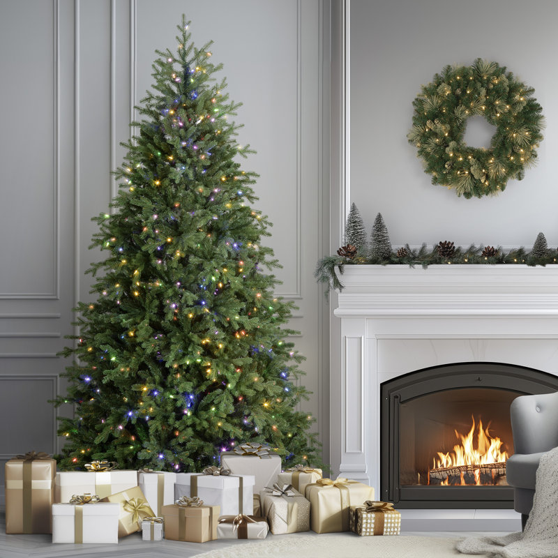 Sapin Fraser avec PowerConnect et lumières DEL bicolores Princeton Fraser Fir, H 90 po