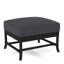 Lafayette Ottoman-49840946-61955322