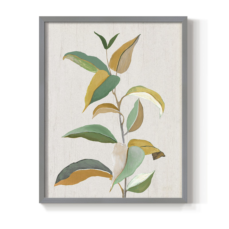 Touched with Sage I, reproduction encadrée - bois massif, H 21 po x l 17 po, Gris