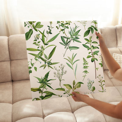 «Botanical Plants & Herbs IV Cottage», reproduction d'art non encadrée
