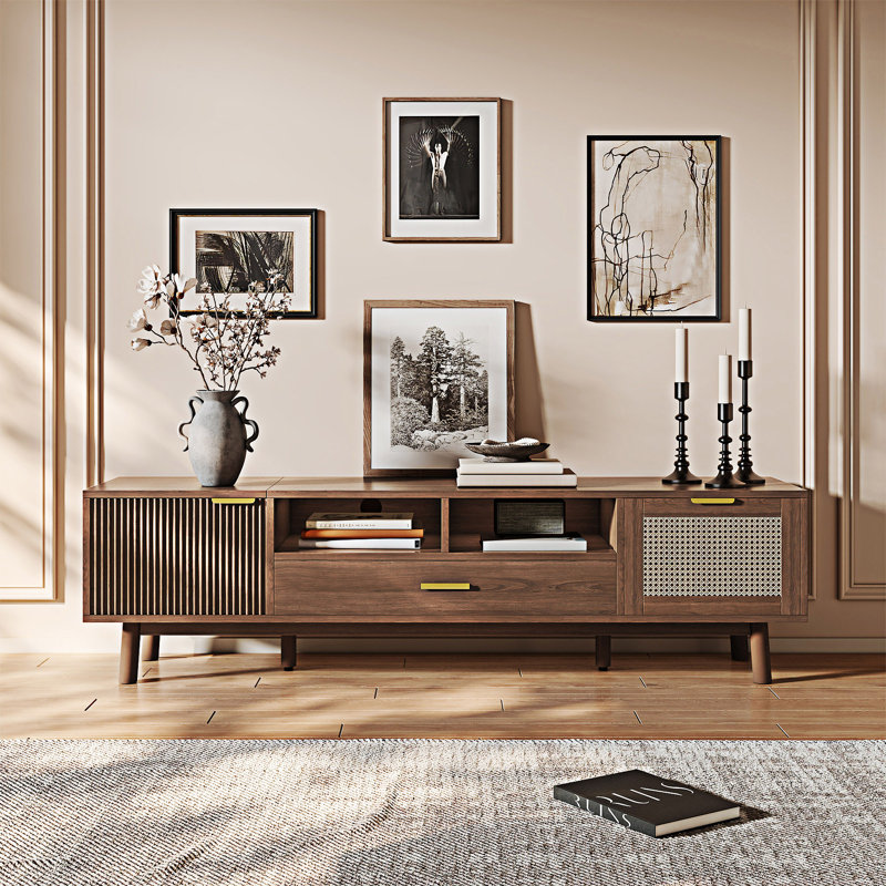 Meuble télé en bois avec porte et armoire à fermeture douce