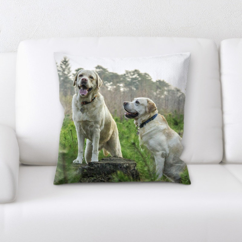Coussin en peluche de labrador